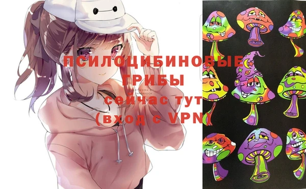 герыч Вязьма