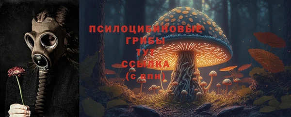 Альфа ПВП Вязники