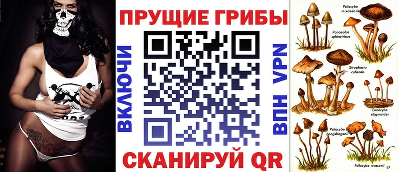 Псилоцибиновые грибы прущие грибы  купить наркотики сайты  blacksprut ССЫЛКА  Новохопёрск 