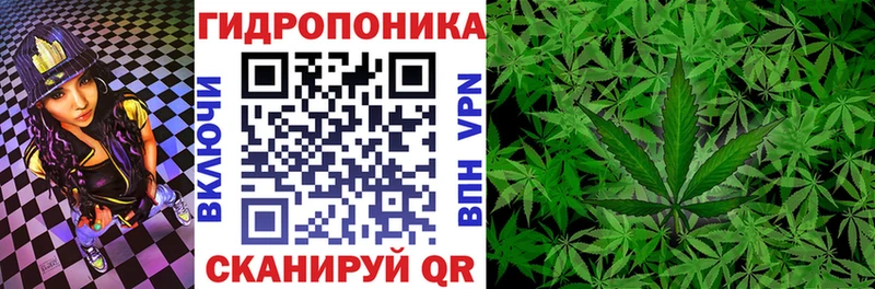 Бошки марихуана тримм  omg ссылка  Новохопёрск  где продают наркотики 